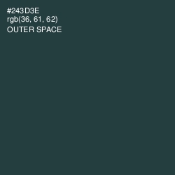 #243D3E - Outer Space Color Image